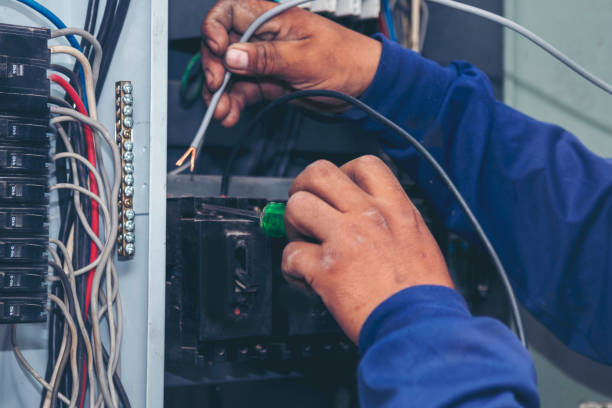 Professional Electrician in WA